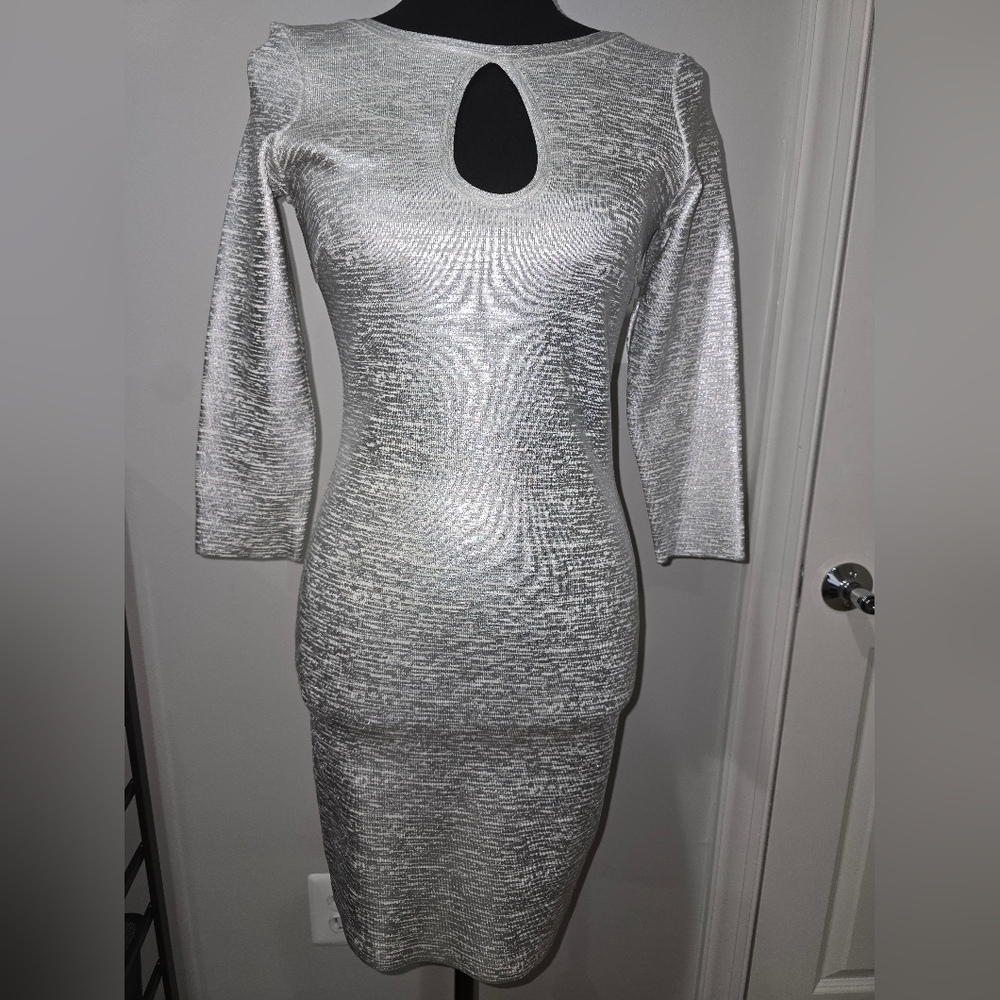 Elegant Silver Women's Dress